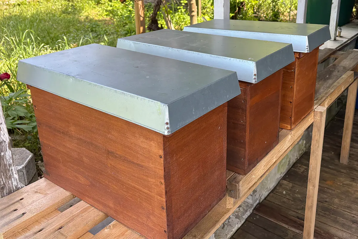 Drei Ableger-Kästen für Bienenvölker am Bienenstand in der Gartenanlage Am Steinertsberg, Imkerei Honigtopf Gera