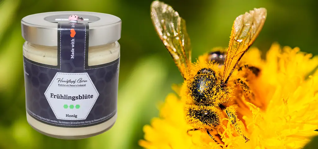 Honigbiene sammelt Nektar von gelber Blüte für die Honigproduktion