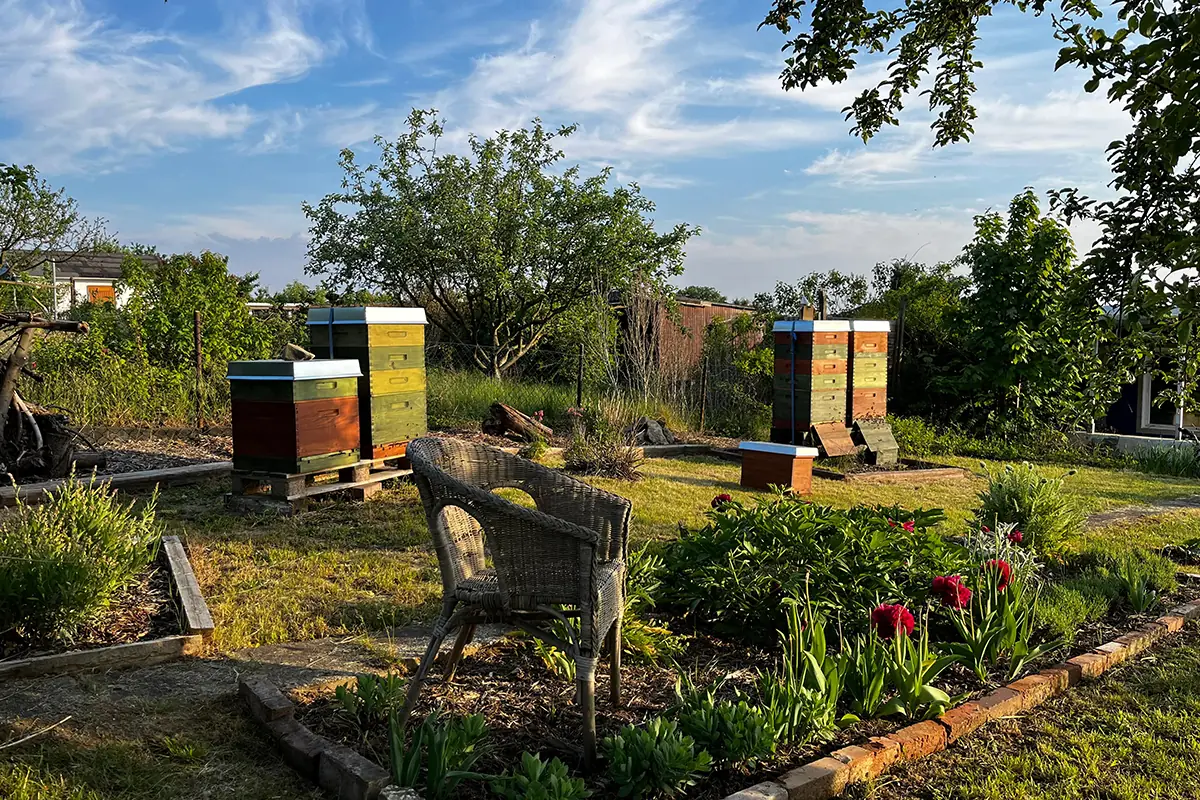 Bienenstand der Imkerei Honigtopf in der Gartenanlage Am Steinertsberg Gera