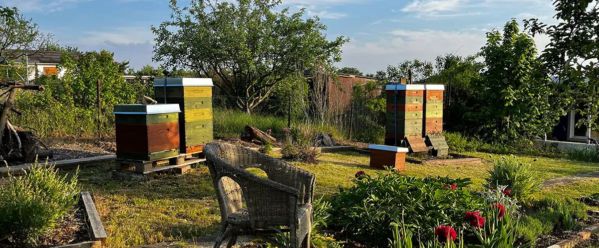 Bienenvölker am Steinertsberg in Gera – Imkerei Genzel, Honigtopf Gera