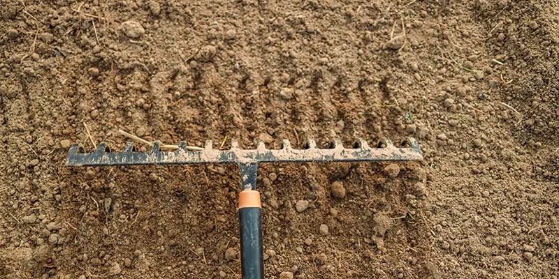 Aufgelockerter krümeliger Boden für Bienenweide-Anlage im Garten