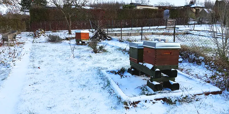Verschneite Dadant Bienenbeuten der Imkerei Honigtopf am Steinertsberg in Gera während der Winterruhe