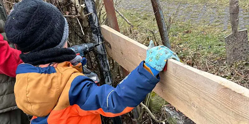 Der Krümelbienen Garten wächst