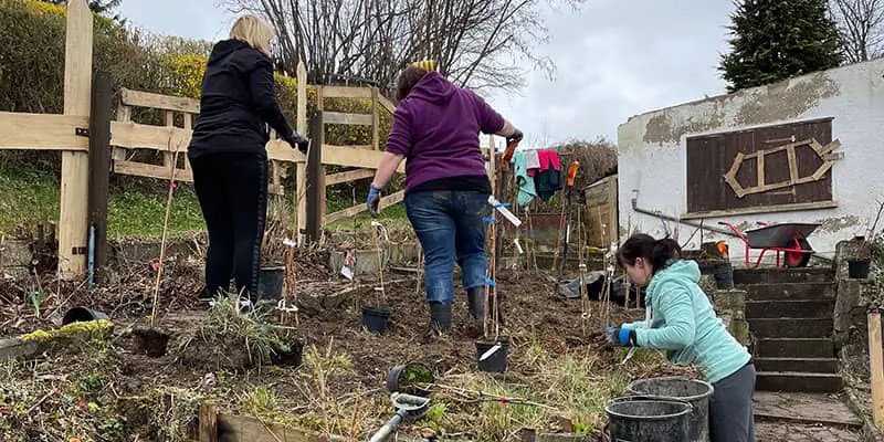 Die ersten Pflanzen für den Bienengarten Die ersten Pflanzen für den Bienengarten