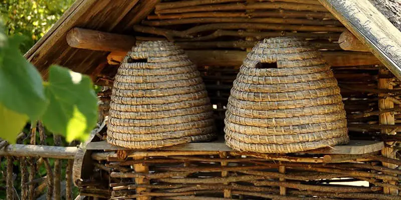 Die Geschichte des Honigs