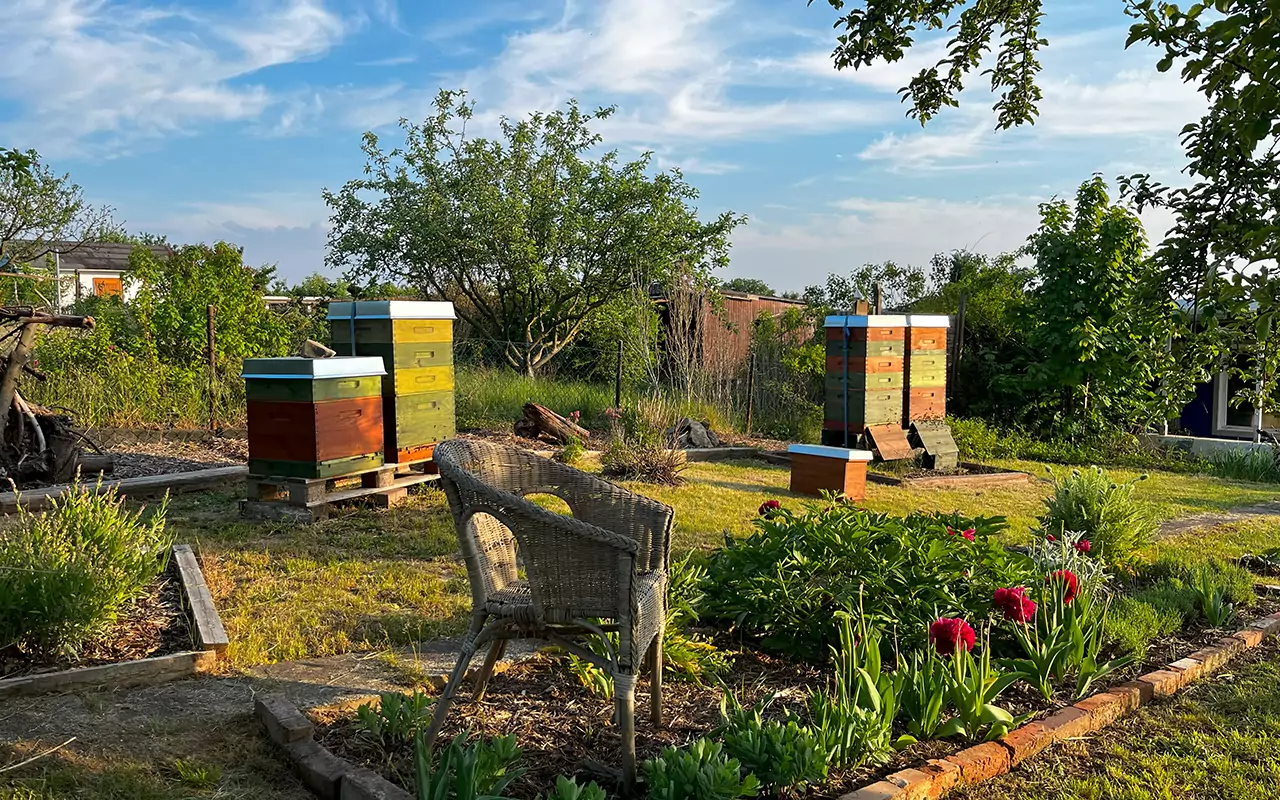 Bienenstöcke in naturnaher Umgebung zwischen Kleingärten und Parklandschaft, nachhaltige Imkerei Gera