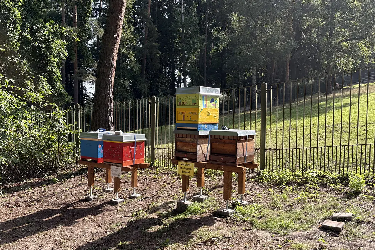 Bienenstand am Lehrbienenpfad im Tierpark Gera