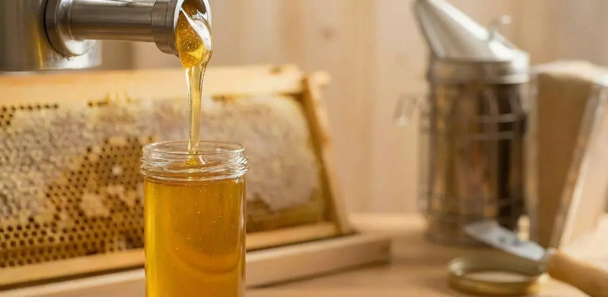 Frisch geschleuderter Honig aus Gera wird in Glas abgefüllt - golden und naturbelassen