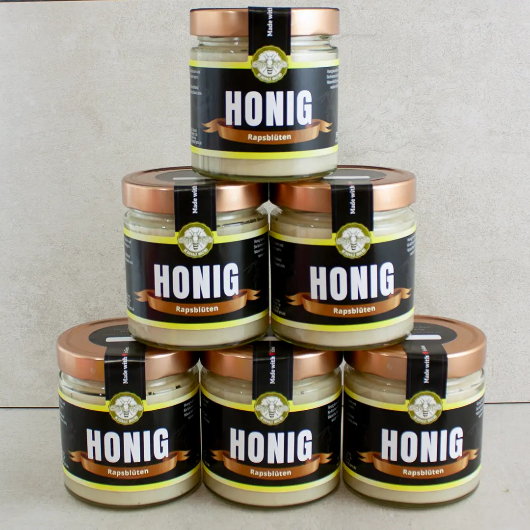 6 Gläser Rapshonig 500g nebeneinander, cremig-weiß, von Imkerei Honigtopf Gera