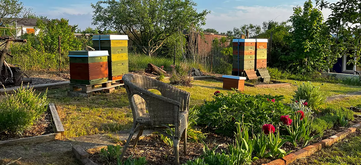 Bienenstand der Imkerei Genzel in Gera